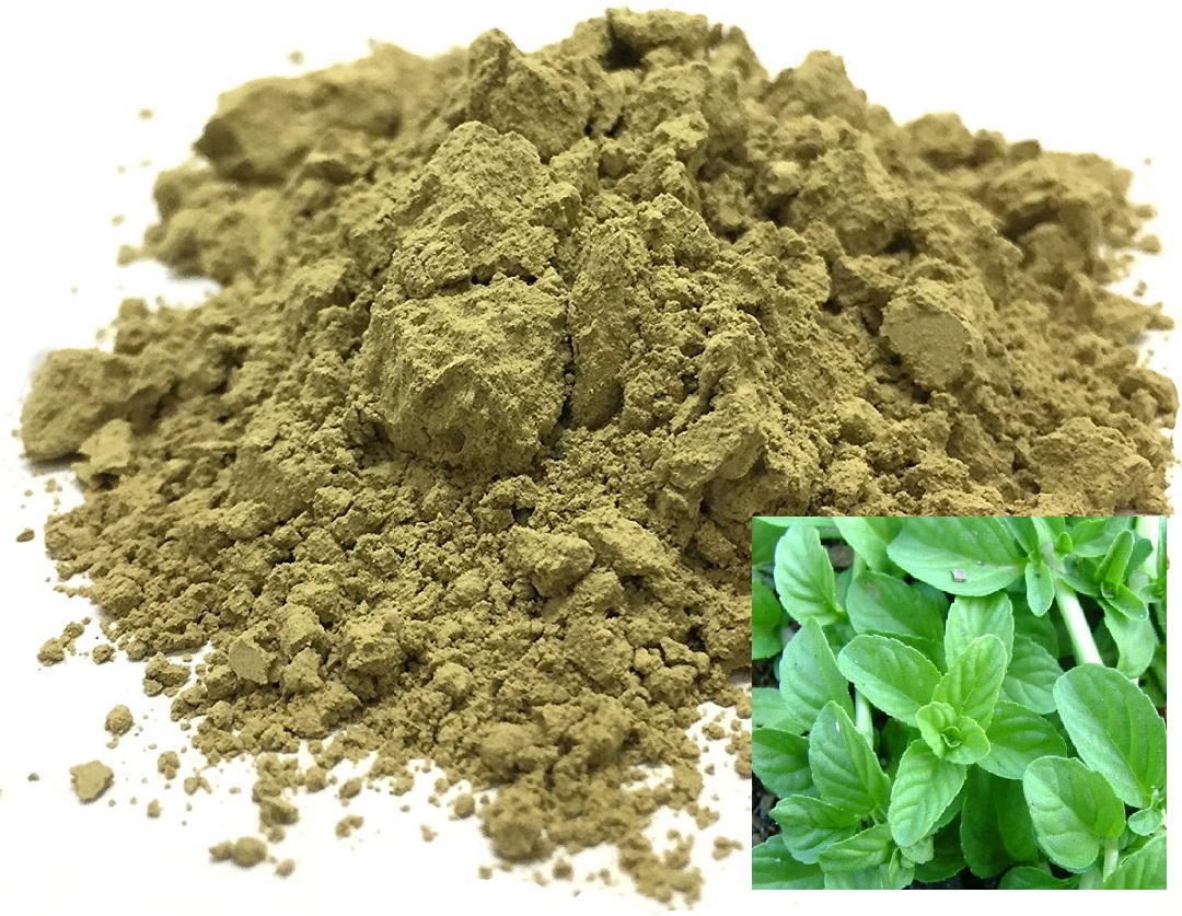 پودر پونه کوهی (بسته بندی 100 گرمی)